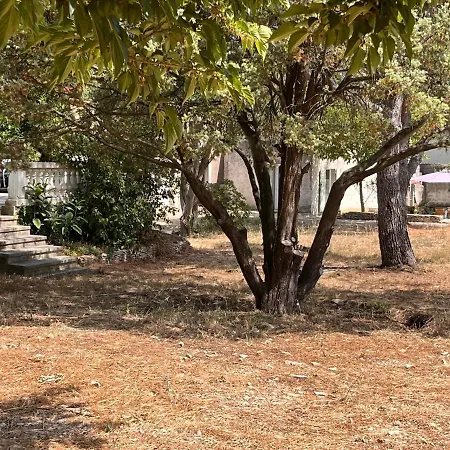 Maisonnette Independante Avec Jardin/patio * Nimes
